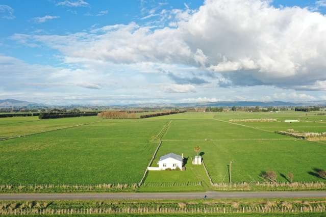 Fertile flat land 9.81 ha