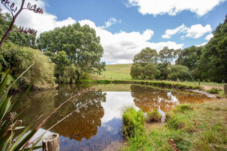 640 Brunskill Road Te Miro_23