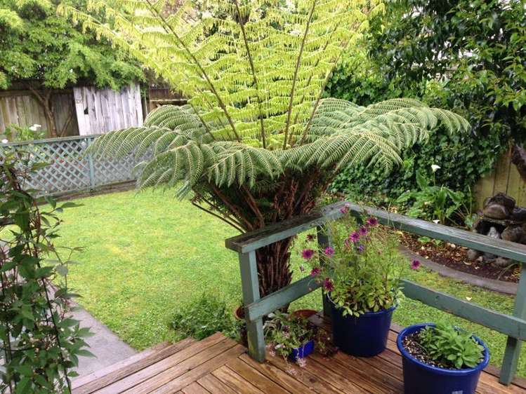 20c Frederick Street Terrace End_4