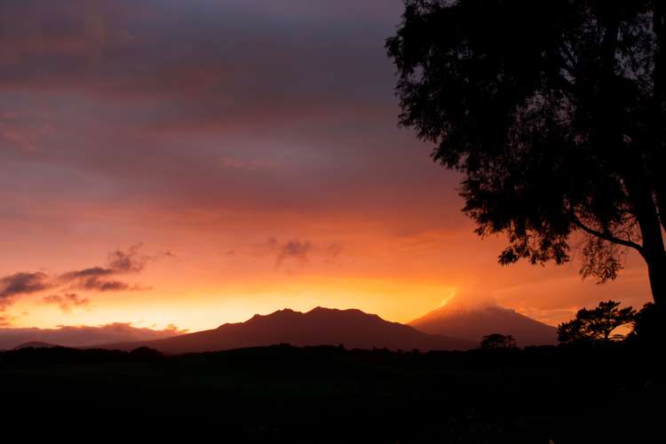 100 Carthew Street Okato_23