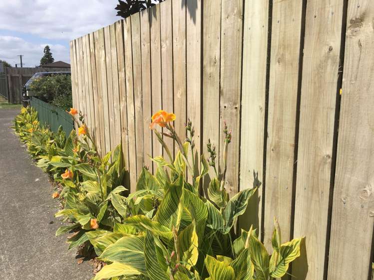 16 Oakleigh Avenue Takanini_23