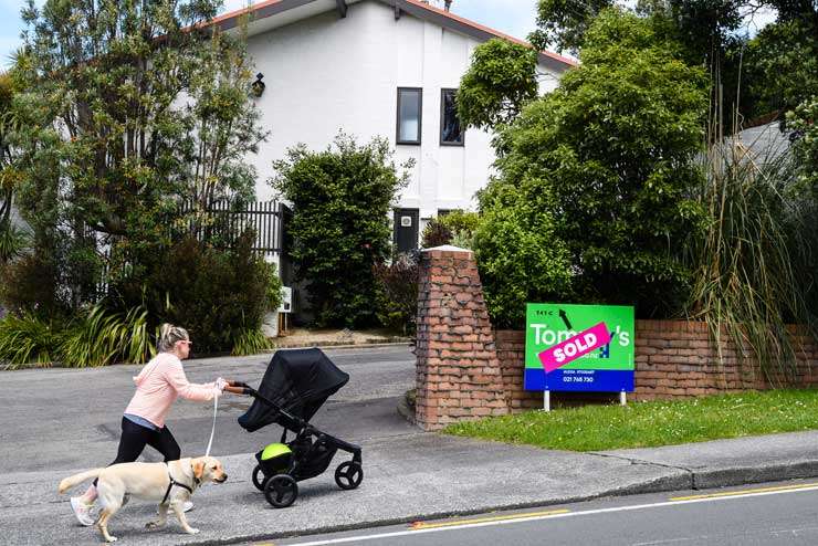 New Zealand houses