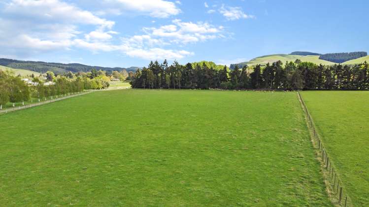 35 Andrew Street Allenton_2