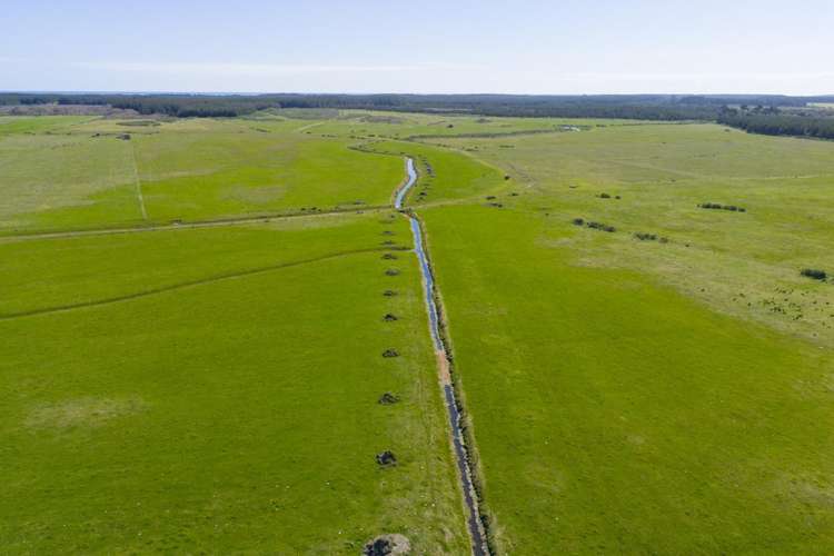 526 Lake Road Himatangi_7