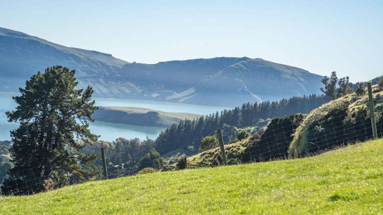 168-240 Purau Port Levy Road Purau_6