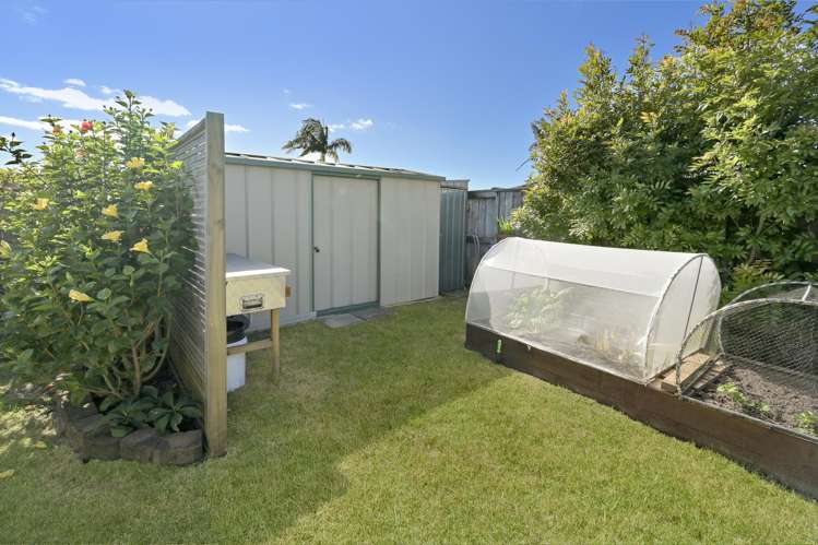 58 Pacific Cove Drive Papamoa_22