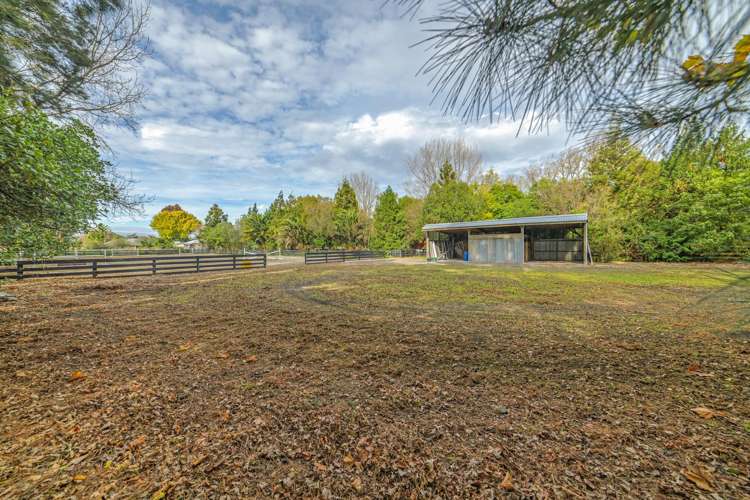 4A Cloverlea Road Kairanga_6