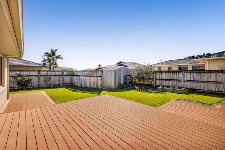 110 Wills Road Bell Block_23