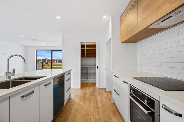 23 Jove Drive Pegasus_5