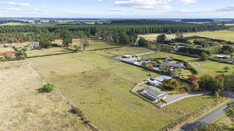 363 Brandon Hall Road Bulls_30