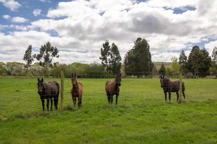 Lot 11, 0 Oven Hill Road Roxburgh_5