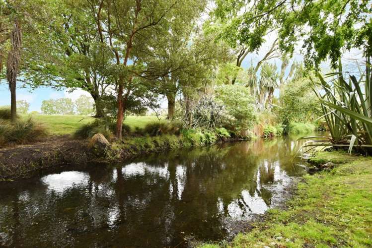 5 Penny Lane Hoon Hay_19