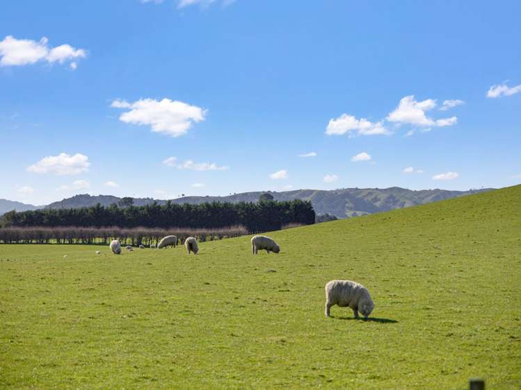 1437 Lots 1 and 3 Brooklands Road Carterton_7