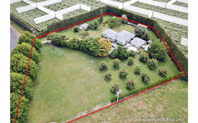 651 Rangiuru Road Te Puke_1