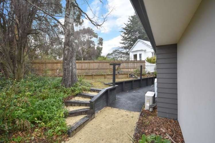 4b Will Street Green Island_11