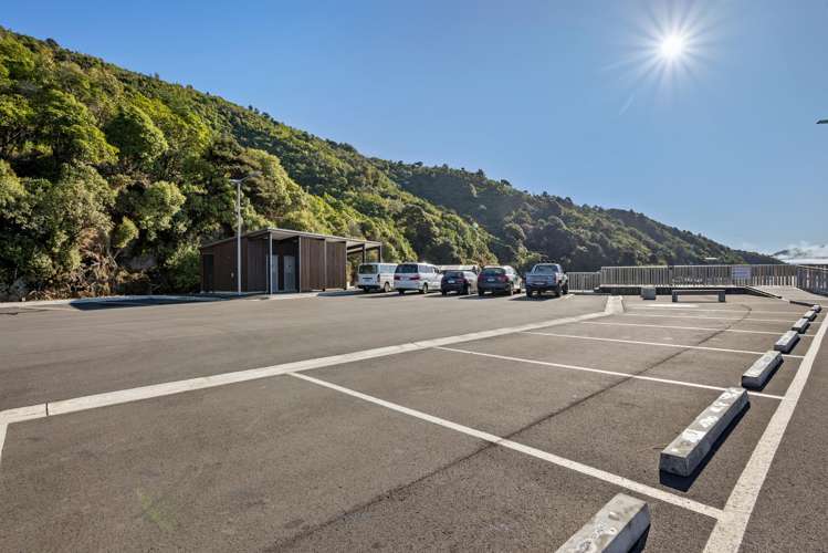 The Snout Waikawa Bay Picton_17