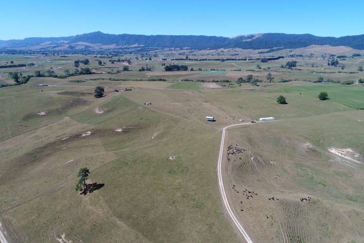 776 Kakahu Road Tapapa_2