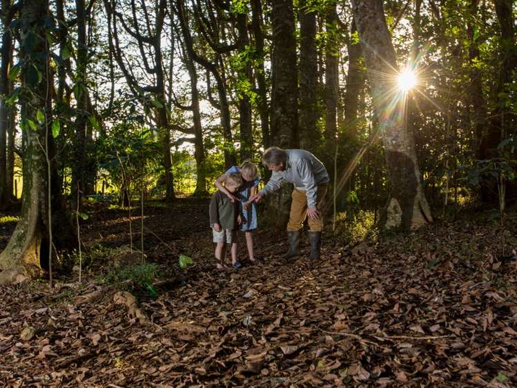 17 Corsair Drive Maungatapere_11