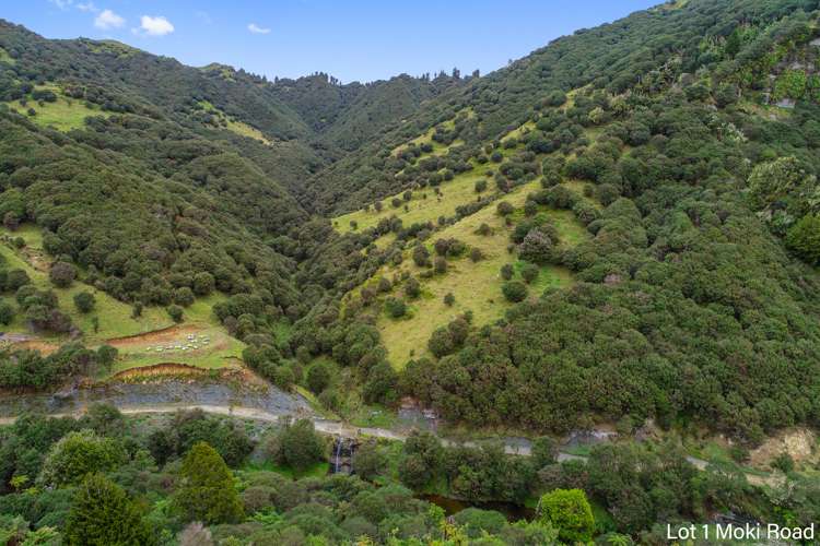 Lot 1 Moki Road, Tahora Taumarunui_18