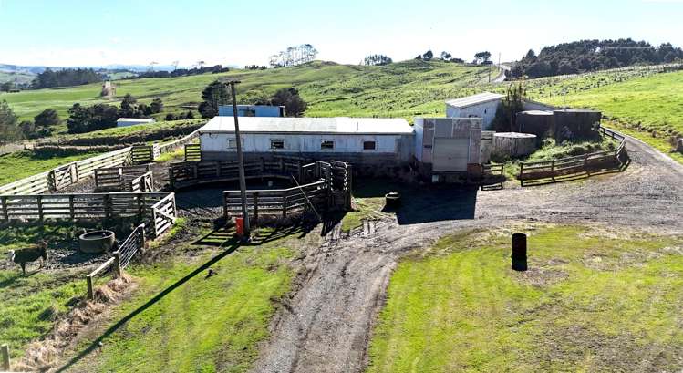 115 Biddle Road Wellsford_21
