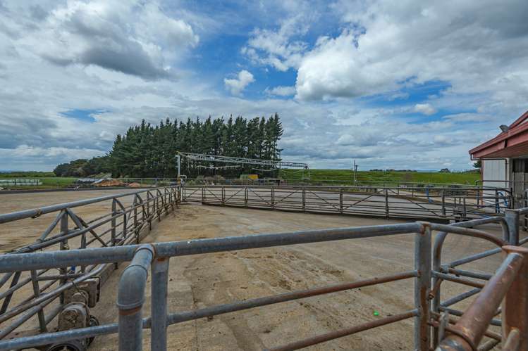 672 Ruawhata Road Pahiatua_10