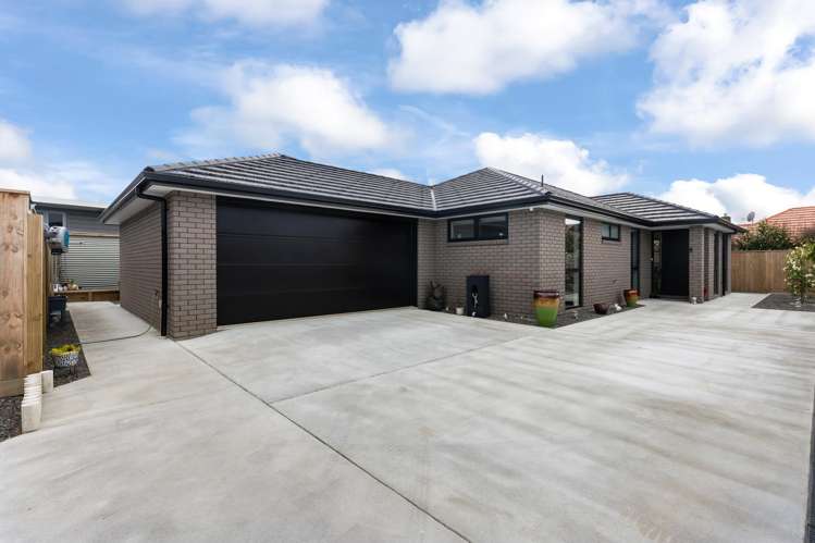 30A Graham Street Levin_27
