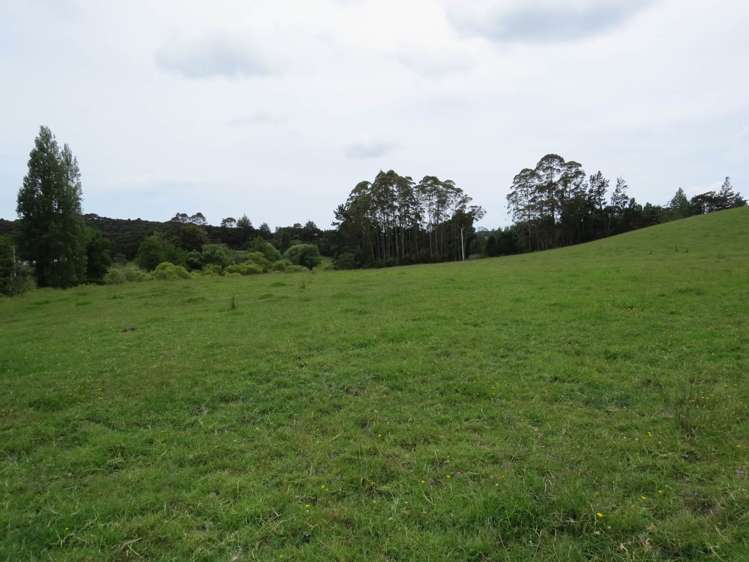 Taylor Road Taipa_20