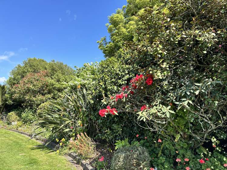 641 Thornton Road Thornton_35