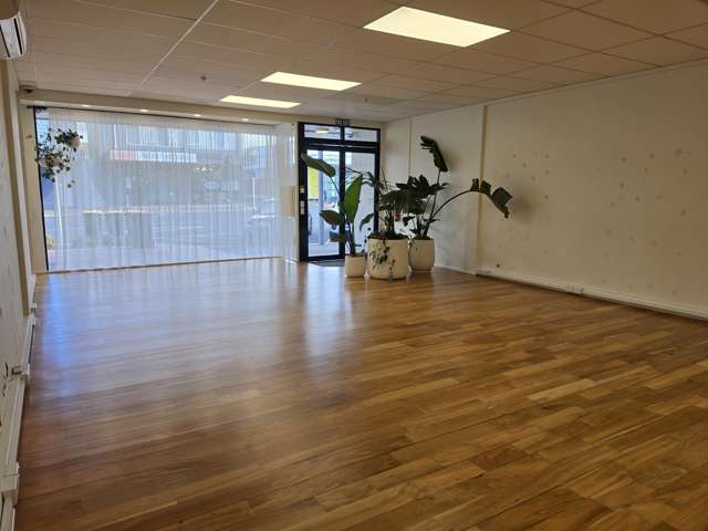 3 Hall Street Pukekohe_2