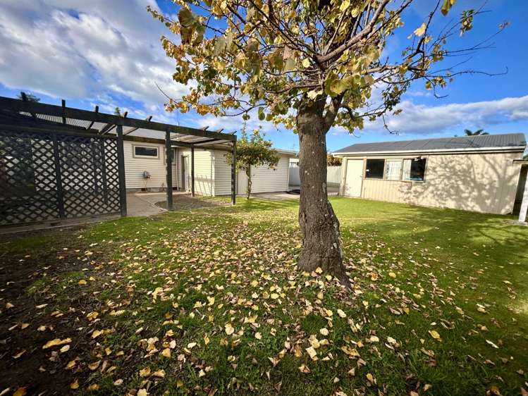 39 Plunket Street Tamatea_11