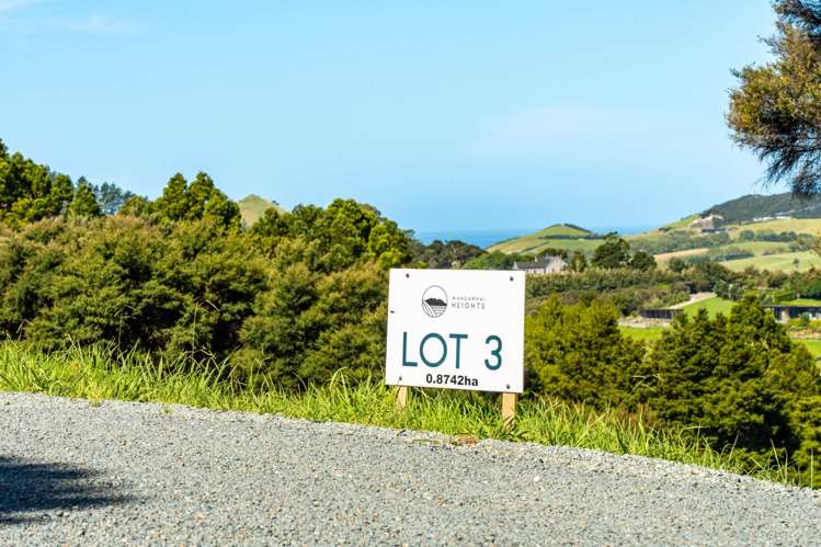 Lots 1-3 Kapawiti Road Mangawhai Heads_44
