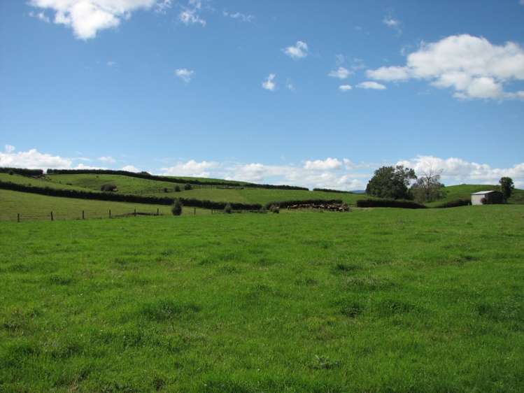 205 Gunn Road Waharoa_9