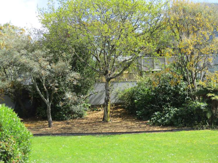 4 Kaihika Street Kaka Point_19