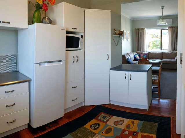 3/69 Hutt Road Petone_2