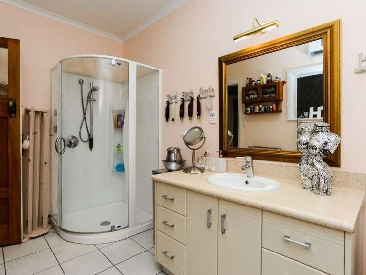 50 Mcdonald Street Napier South_14