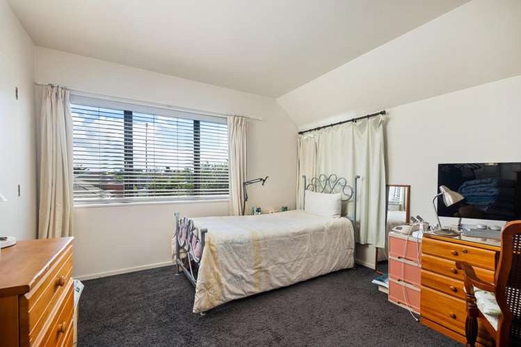 103A Saint Lukes Road Mount Albert_9