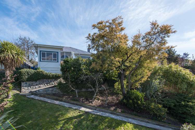 24 Jenner Road Toi Toi_13