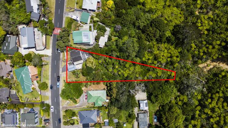 52 Goodall Street Hillsborough_15