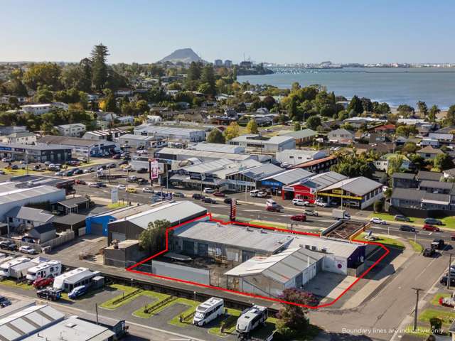 18-22 Fifteenth Avenue Tauranga Central_3