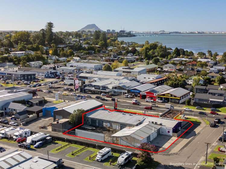 18-22 Fifteenth Avenue Tauranga Central_3