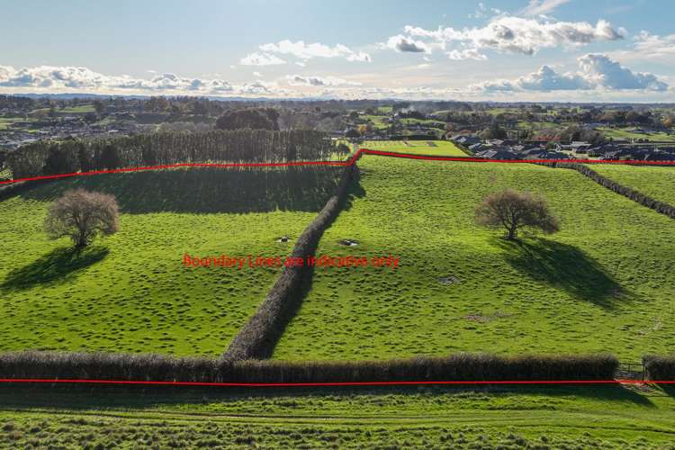 Picquet Hill Road Te Awamutu_6