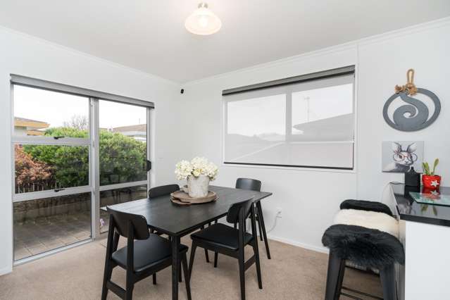 3/117 Roy Street Palmerston North Central_3