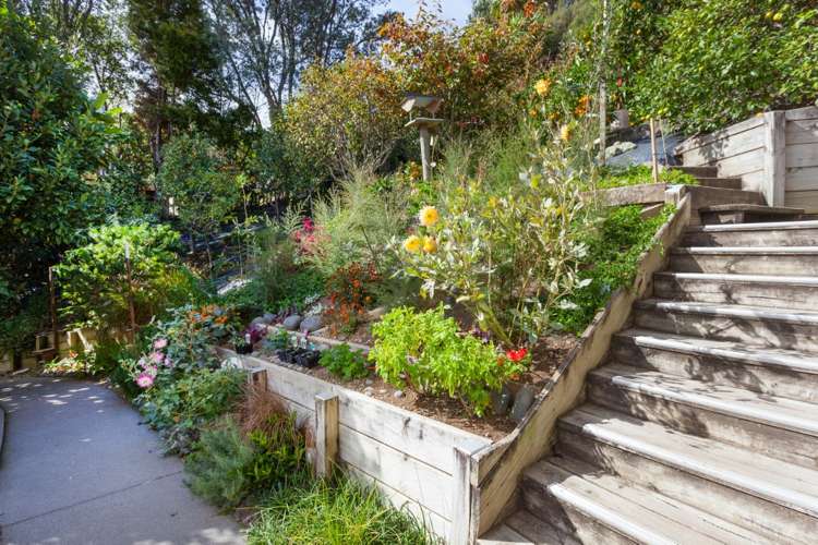 126 Oratia Place Onemana_24