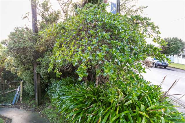 18 Perth Street Ngaio_3