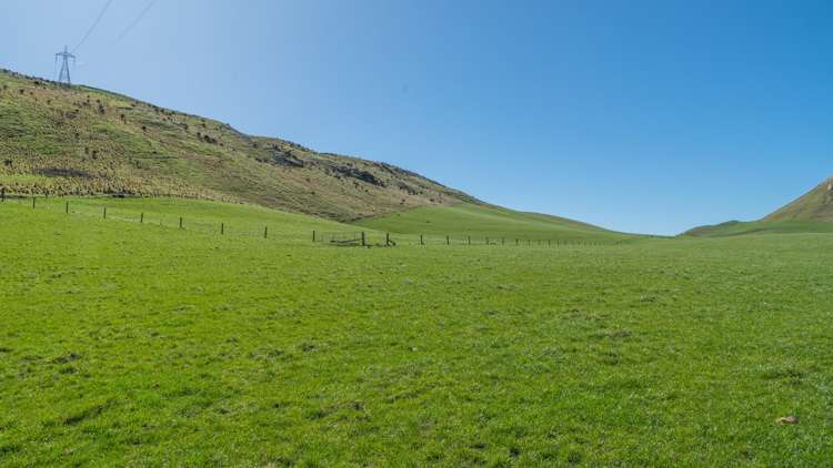 554 Waikari Valley Road Scargill_7