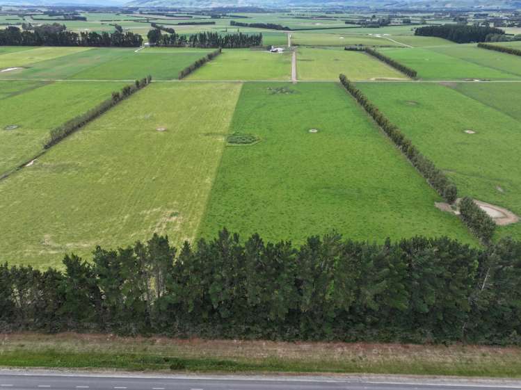 195 Dunn and Cody Road Riversdale_2