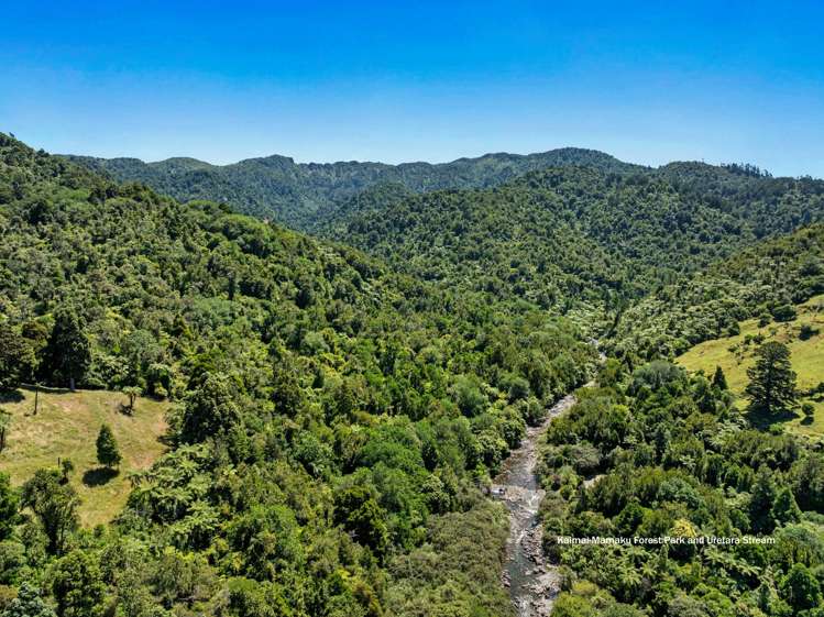 348D Rea Road Katikati_16