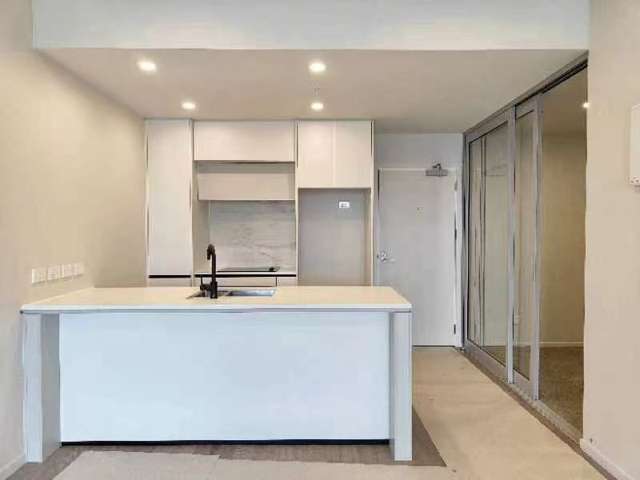 211/2 Munroe Lane Albany_3