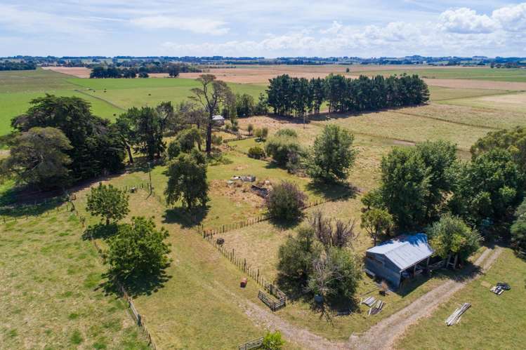 176 Colemans Road Marton_14