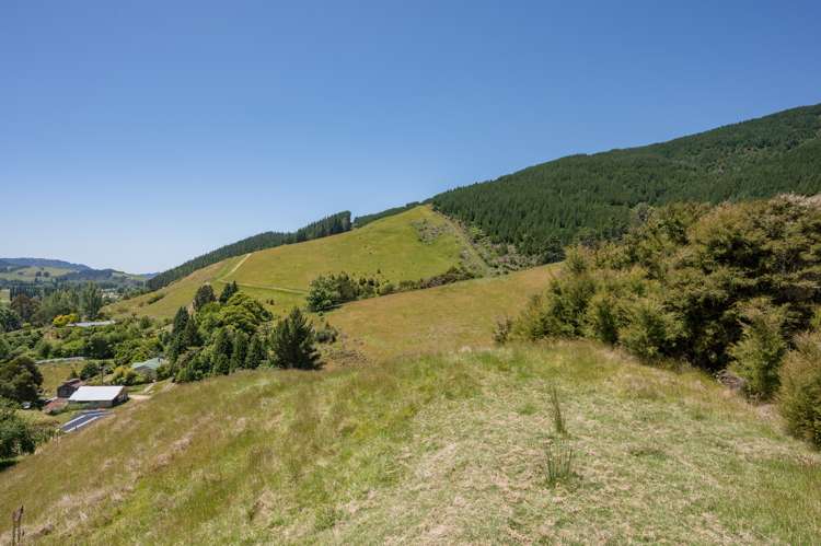 1809 Motueka Valley Highway Ngatimoti_3